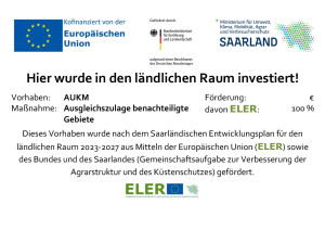 1758181640294-a825541e-a572-4c01-998a-07b4c818cd3d_1